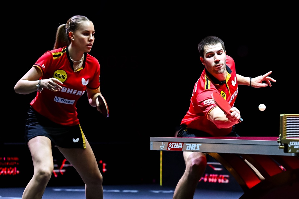 众的阵阵掌 众的阵阵掌